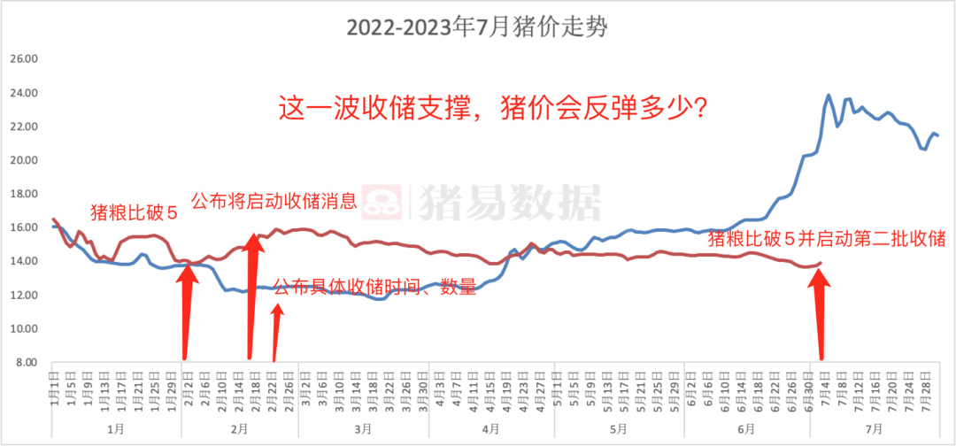10月13日橡胶期货持仓龙虎榜分析：多方进场情绪强于空方