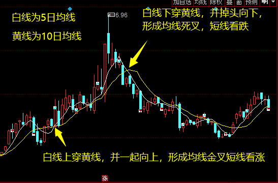 10月23日收盘尿素期货持仓较上日减持34503手