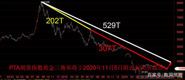 11月8日PTA期货持仓龙虎榜分析：PTA期货主力处于净空头状态
