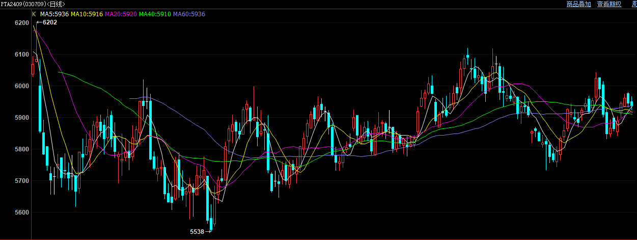 （2024年7月12日）今日PTA期货最新价格行情查询