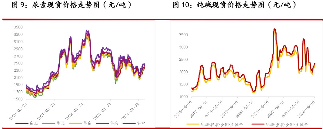 （2024年7月17日）今日纯碱期货最新价格行情查询