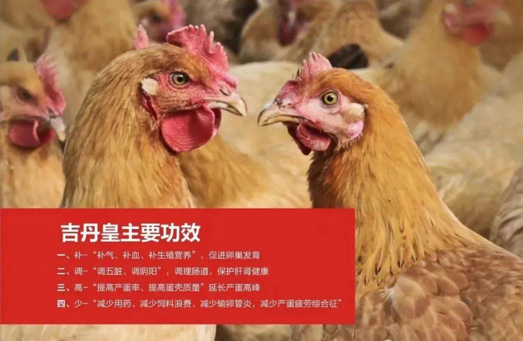 2024年7月17日今日硫酸铁最新价格查询