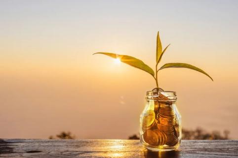 PP:情绪略弱 等待企稳