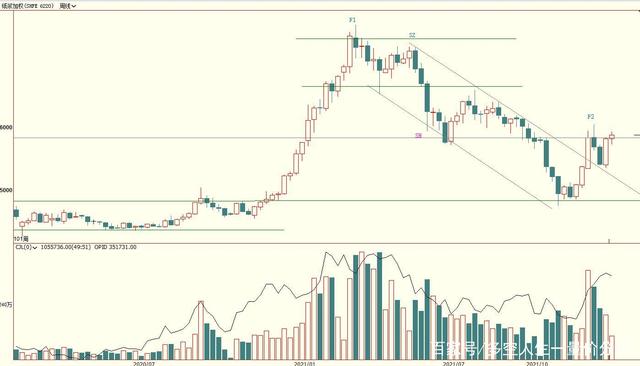 7月30日纸浆期货持仓龙虎榜分析:主力处于净空头状态