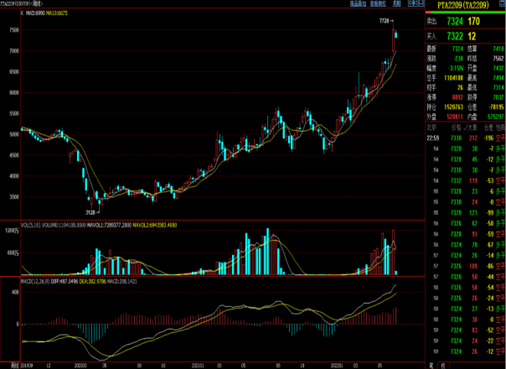7月30日PTA期货持仓龙虎榜分析:多空双方均呈进场态势