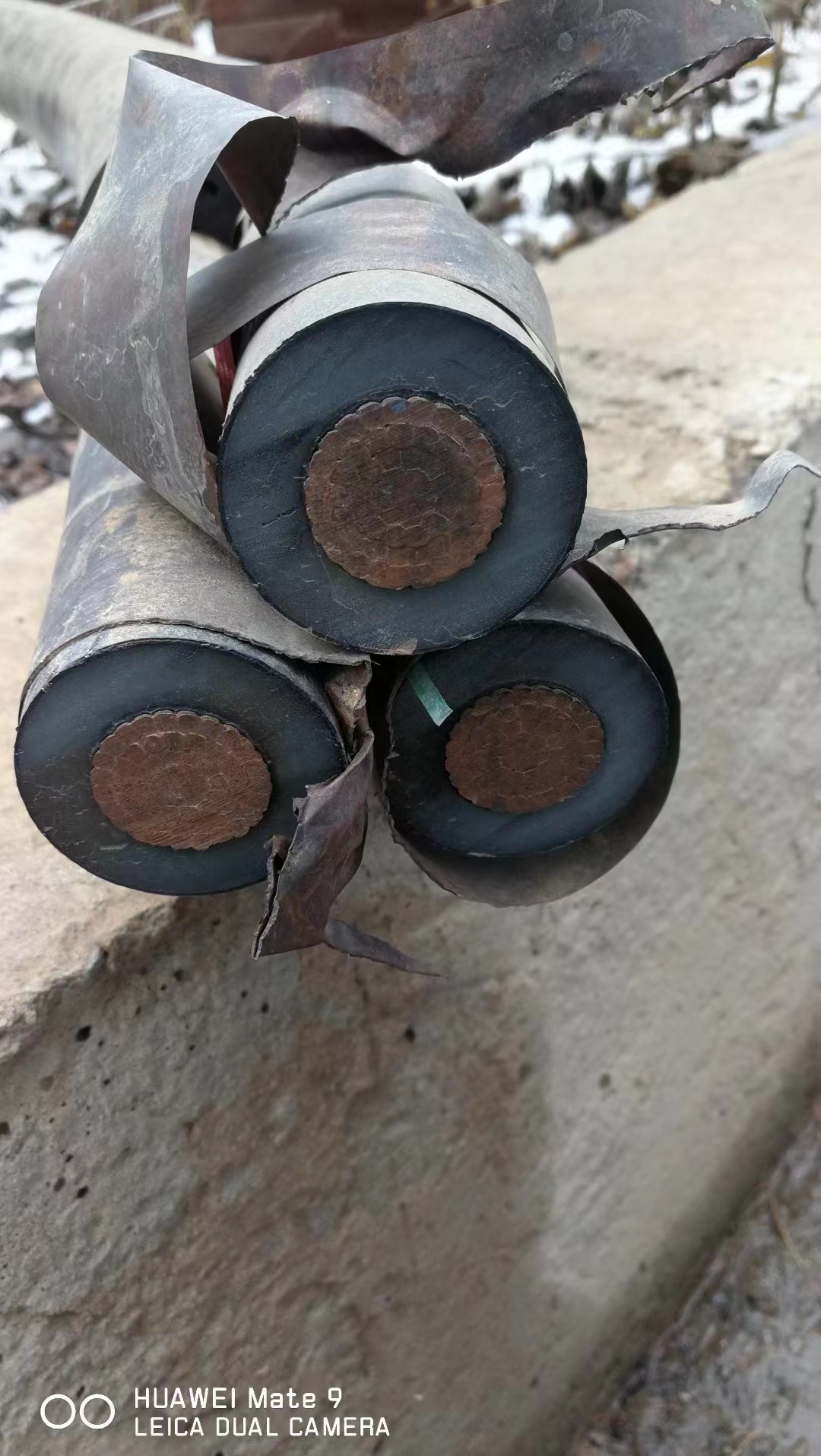 2024年8月13今日对二甲苯最新价格多少钱一吨