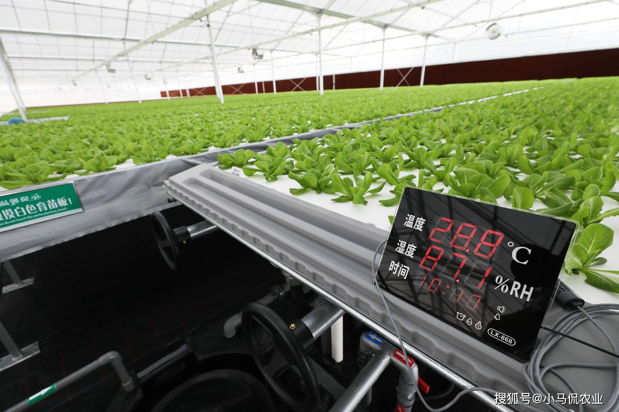 【产量】8月15日苯乙烯产量录得29.96万吨