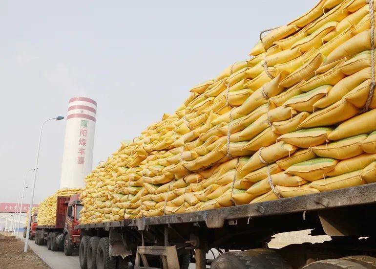 9月6日尿素期货持仓龙虎榜分析：尿素期货主力处于净空头状态