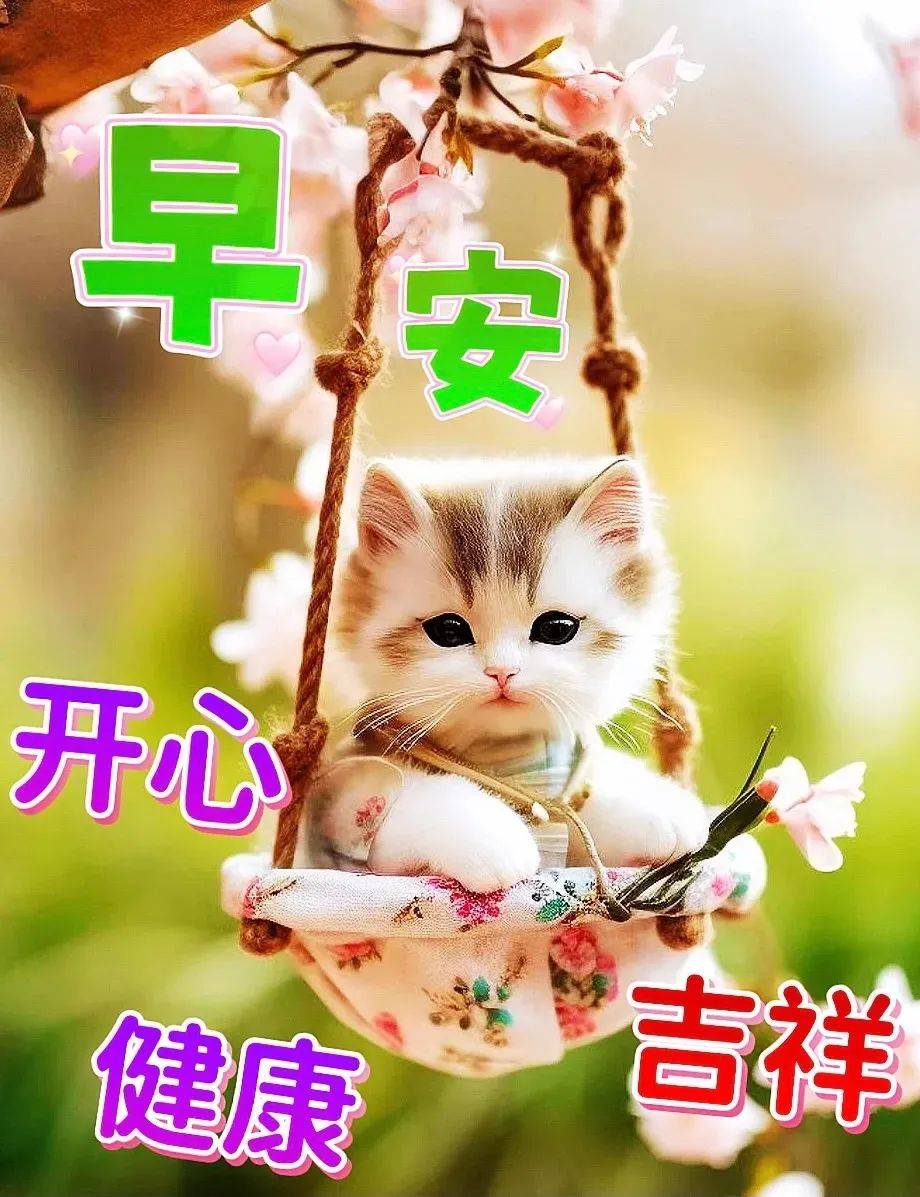 2024年9月9日最新环氧大豆油价格行情走势查询