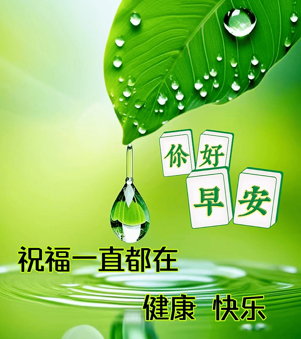 2024年9月15日今日苯甲酸苄酯价格最新行情走势