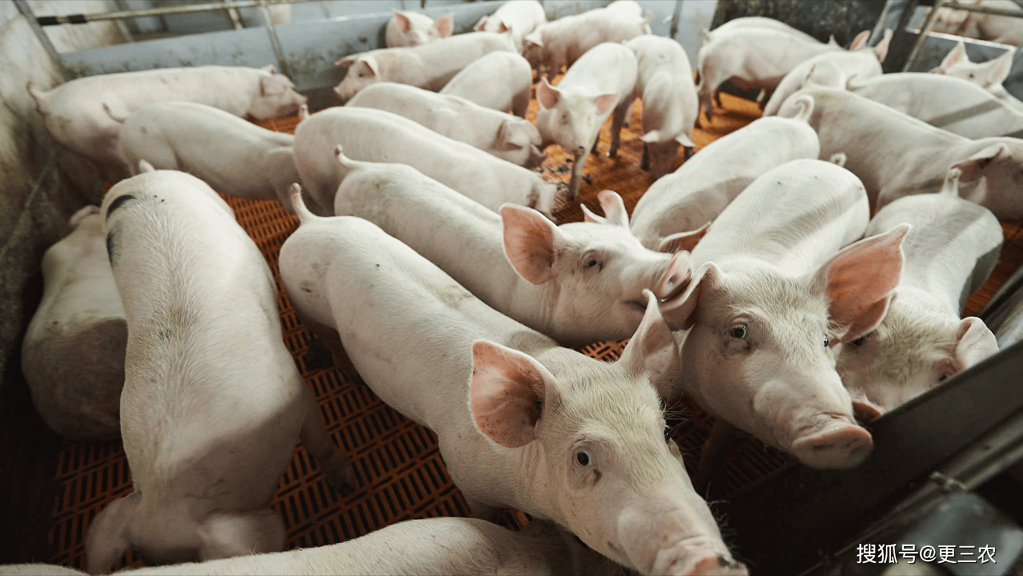 9月18日尿素期货持仓龙虎榜分析:空方进场情绪强于多方