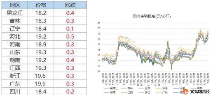 （2024年9月20日）今日PTA期货最新价格行情查询