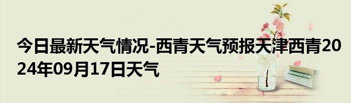 2024年9月27日今日NN-二甲基环己胺最新价格查询
