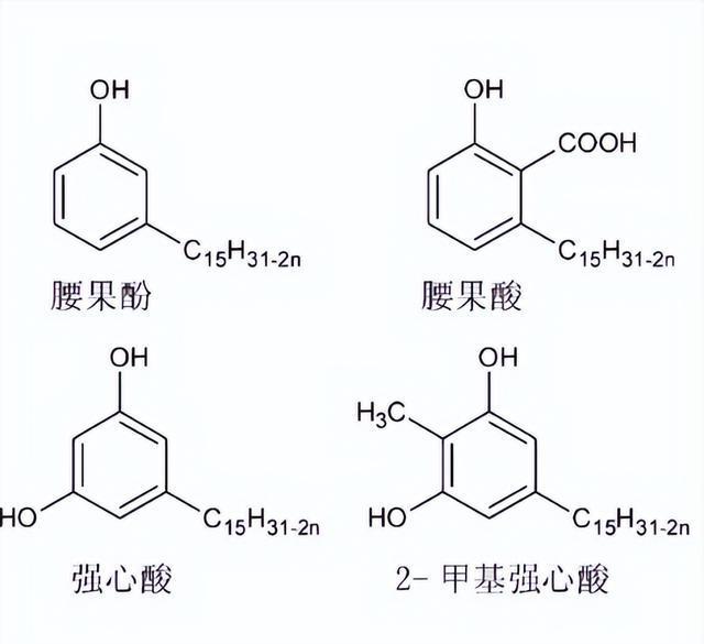 2024年10月6日邻苯二甲酸二甲酯报价最新价格多少钱