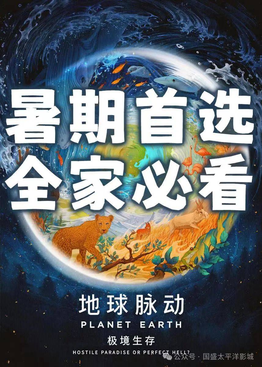 2024年10月8日今日二氯乙烷最新价格查询