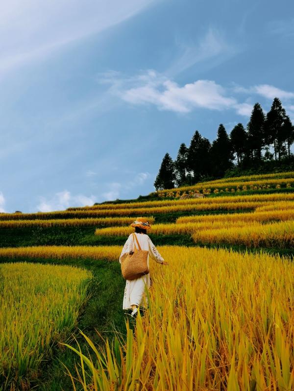 2024年10月9日今日丙烯酸丁酯价格最新行情消息