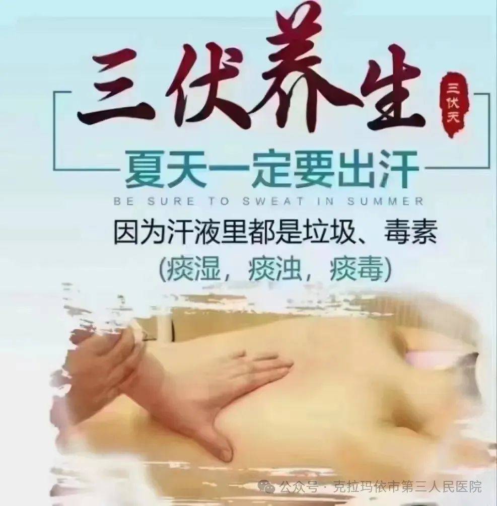 2024年10月20日原甲酸三甲酯价格行情最新价格查询