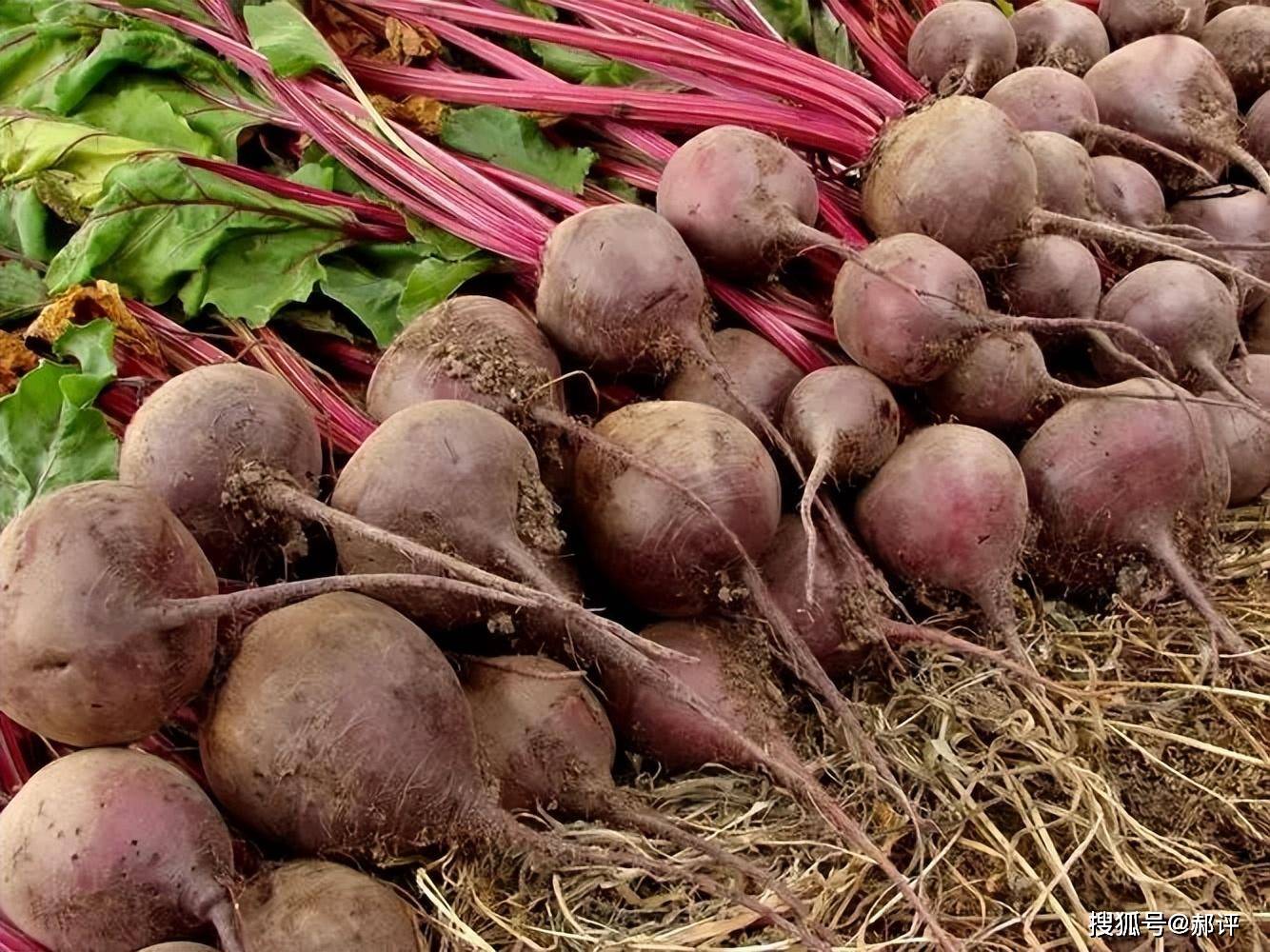 【产量】11月22日国际甲醇产量录得909924吨