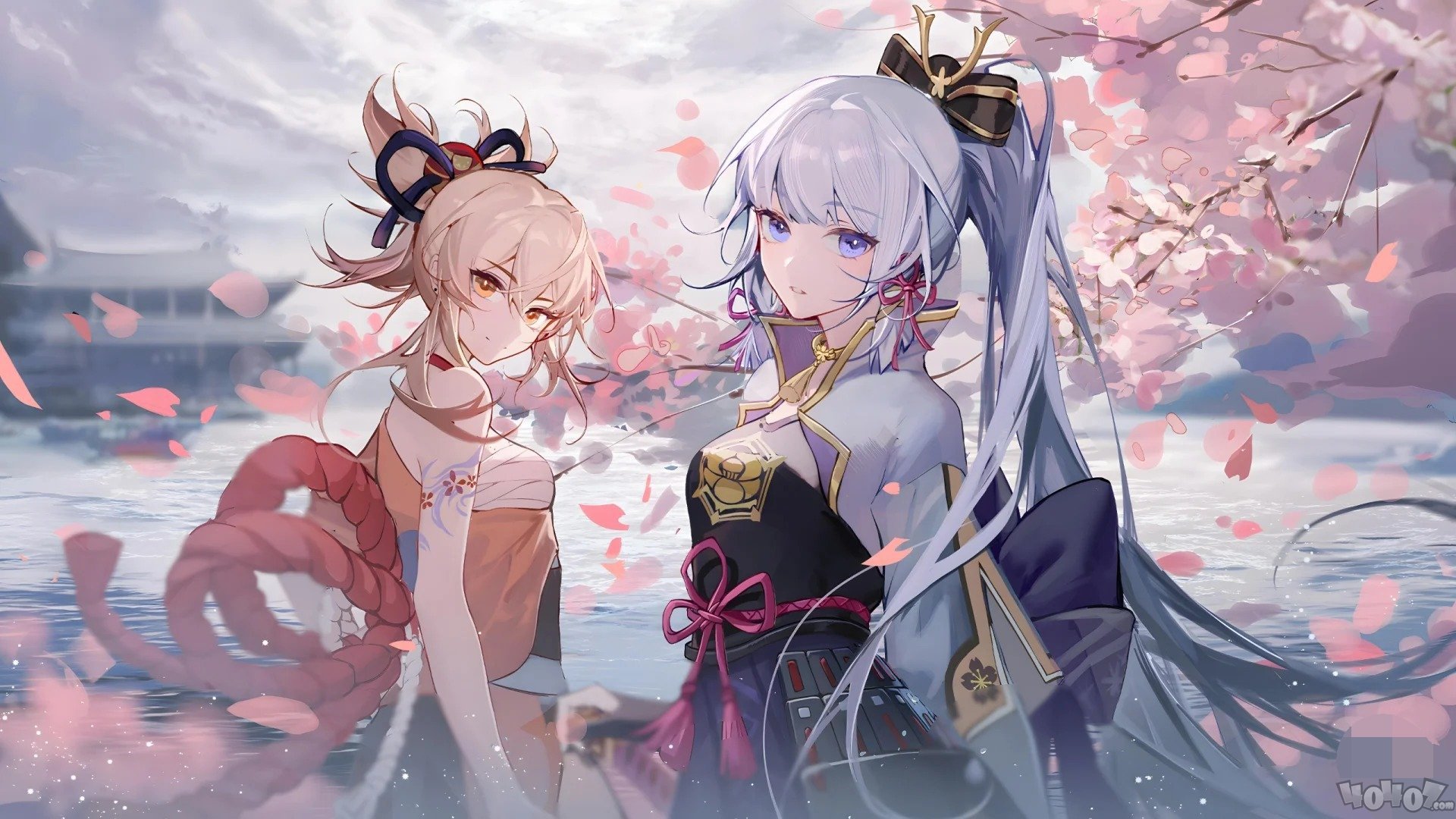 2024年11月24日今日三光气最新价格查询