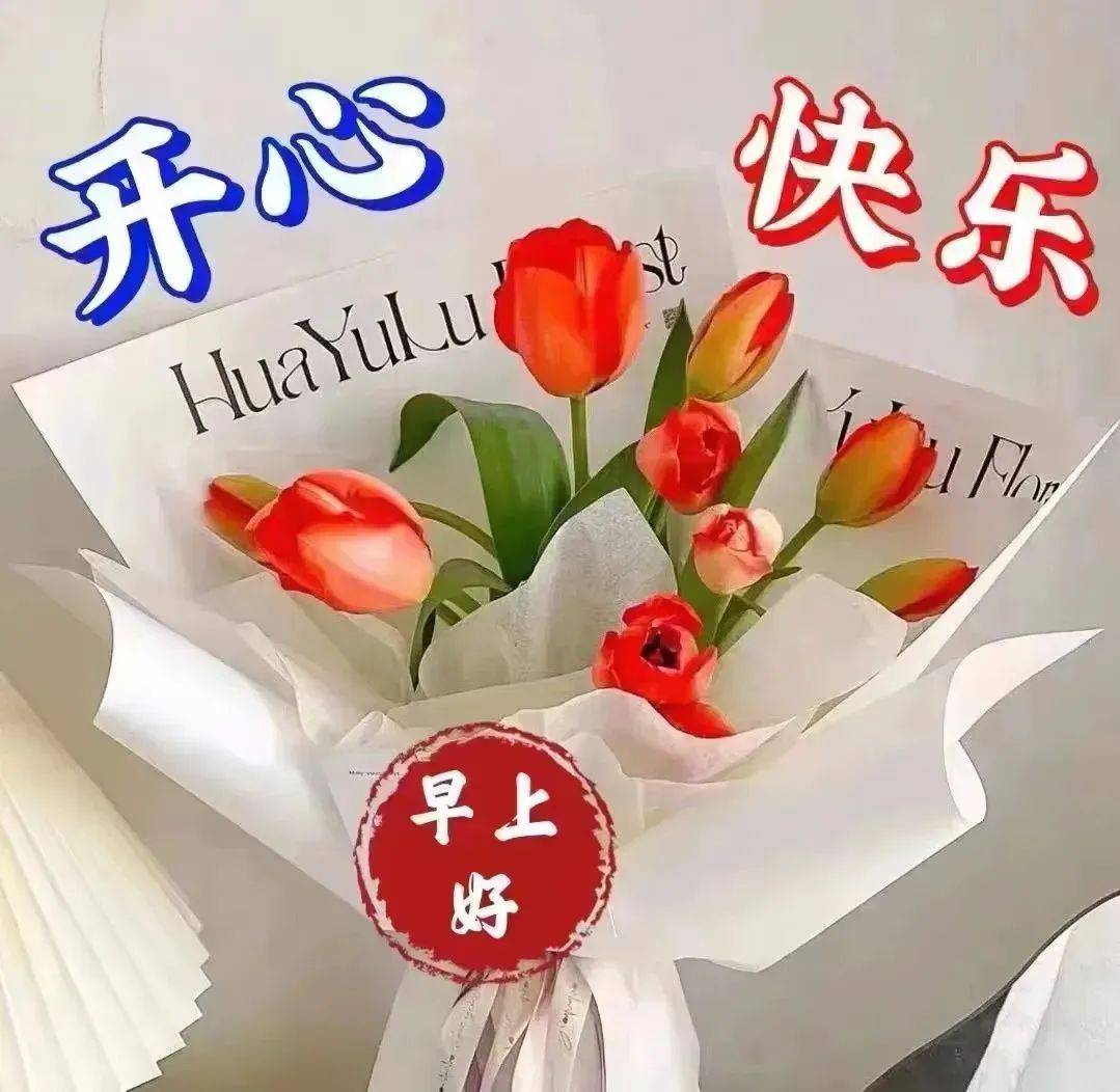 2024年11月24日今日正辛胺最新价格查询