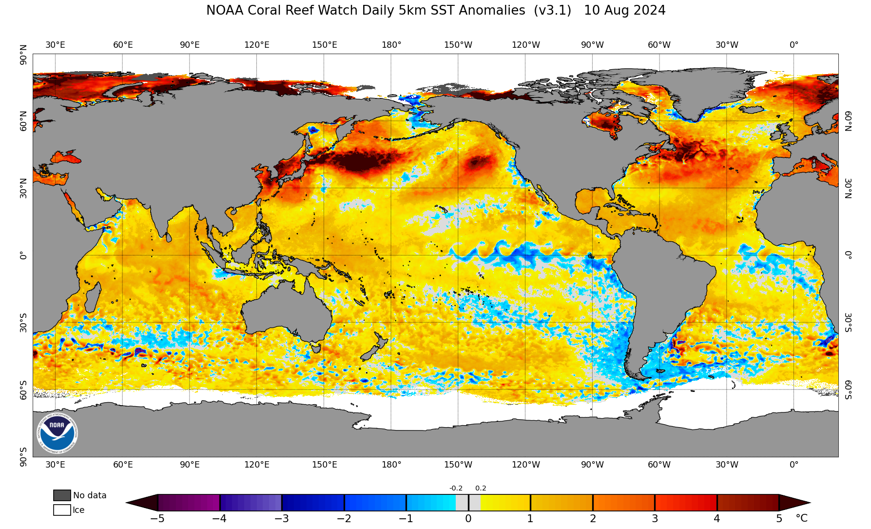 2024年11月24日邻氯甲苯报价最新价格多少钱