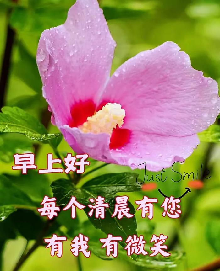 （2024年11月25日）今日甲醇期货最新价格行情查询