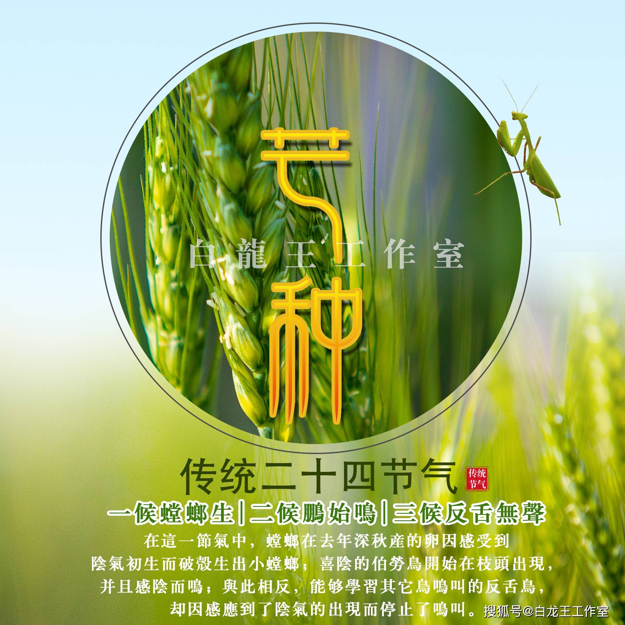 (2024年11月25日)今日PVC期货最新价格行情查询