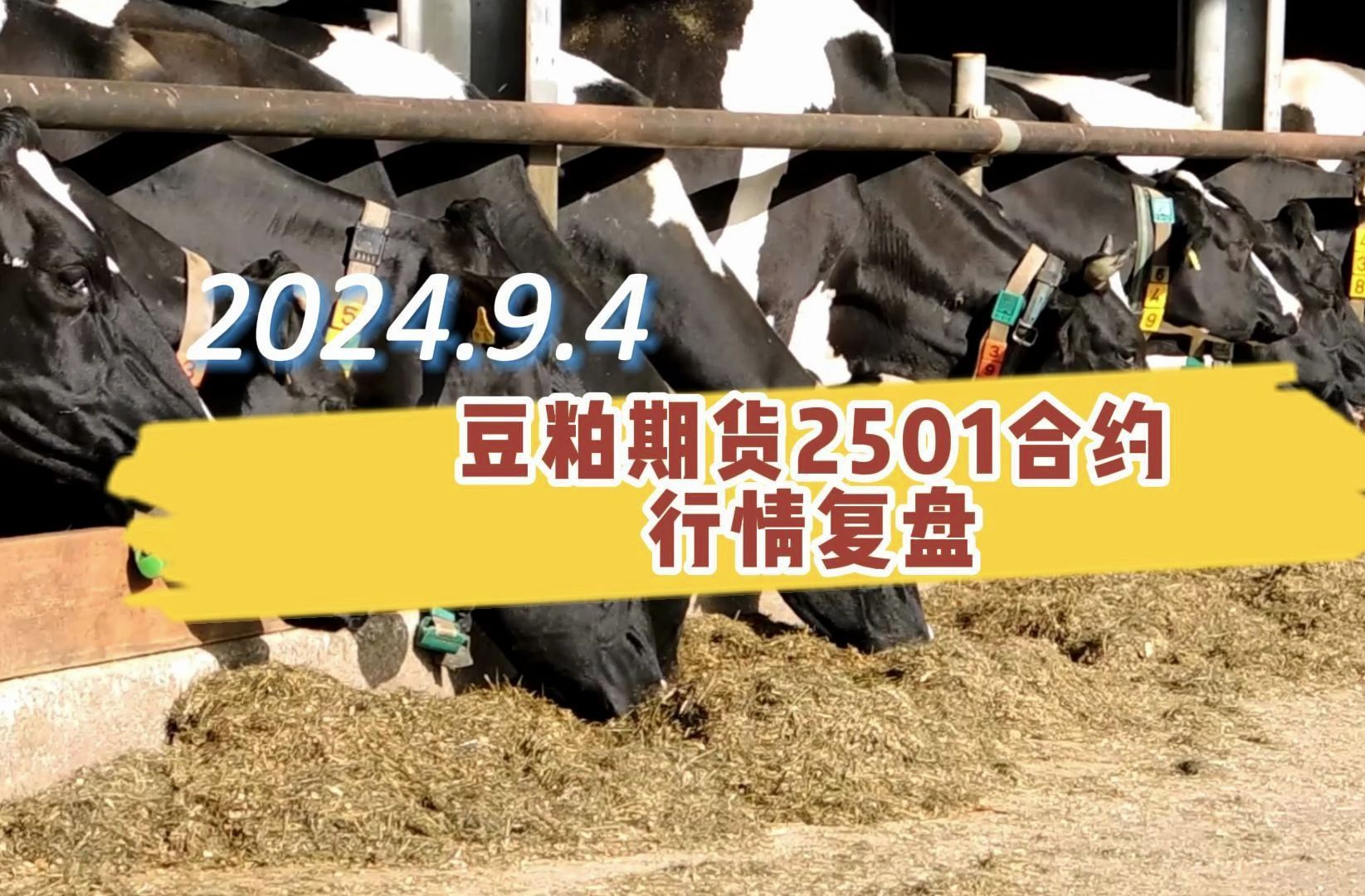 2024年11月26日甲基硅酸钠价格行情今日报价查询