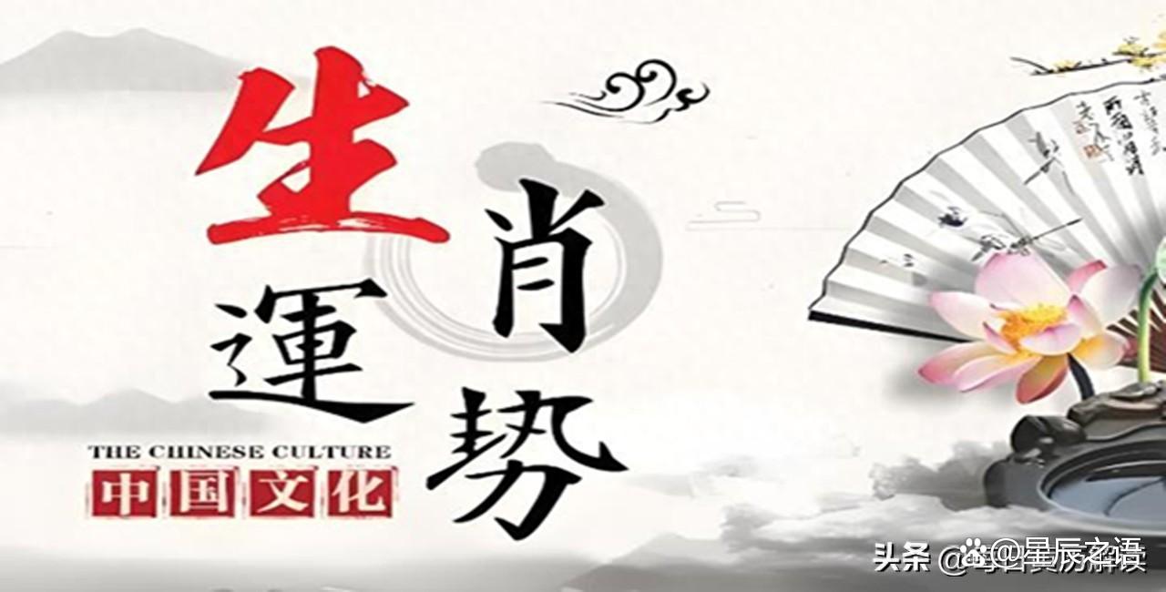 2024年12月16日今日二异丙胺最新价格查询