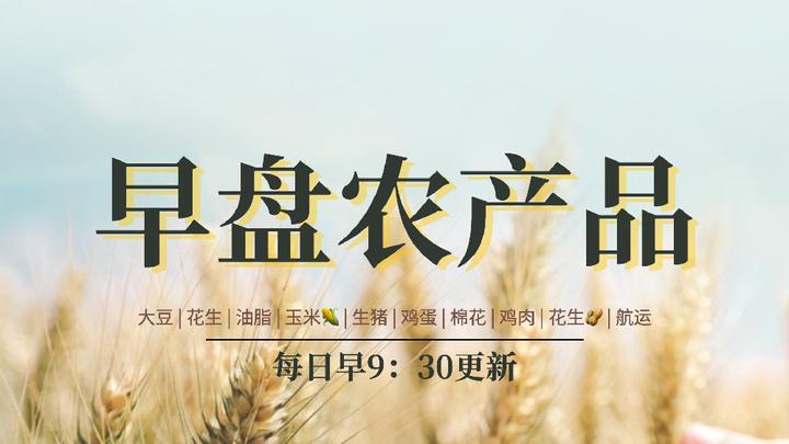 12月24日纸浆期货持仓龙虎榜分析：银河期货减仓4033手多单