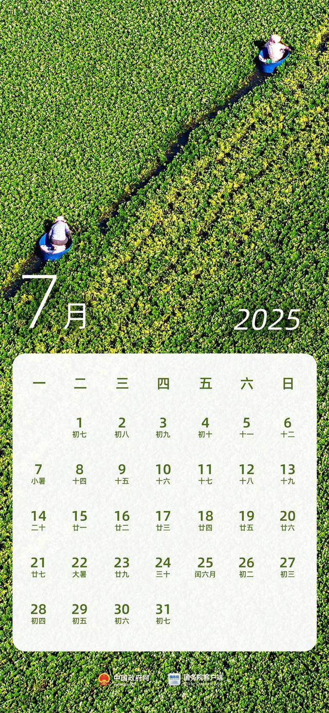 2025年1月5日今日醋酸最新价格查询