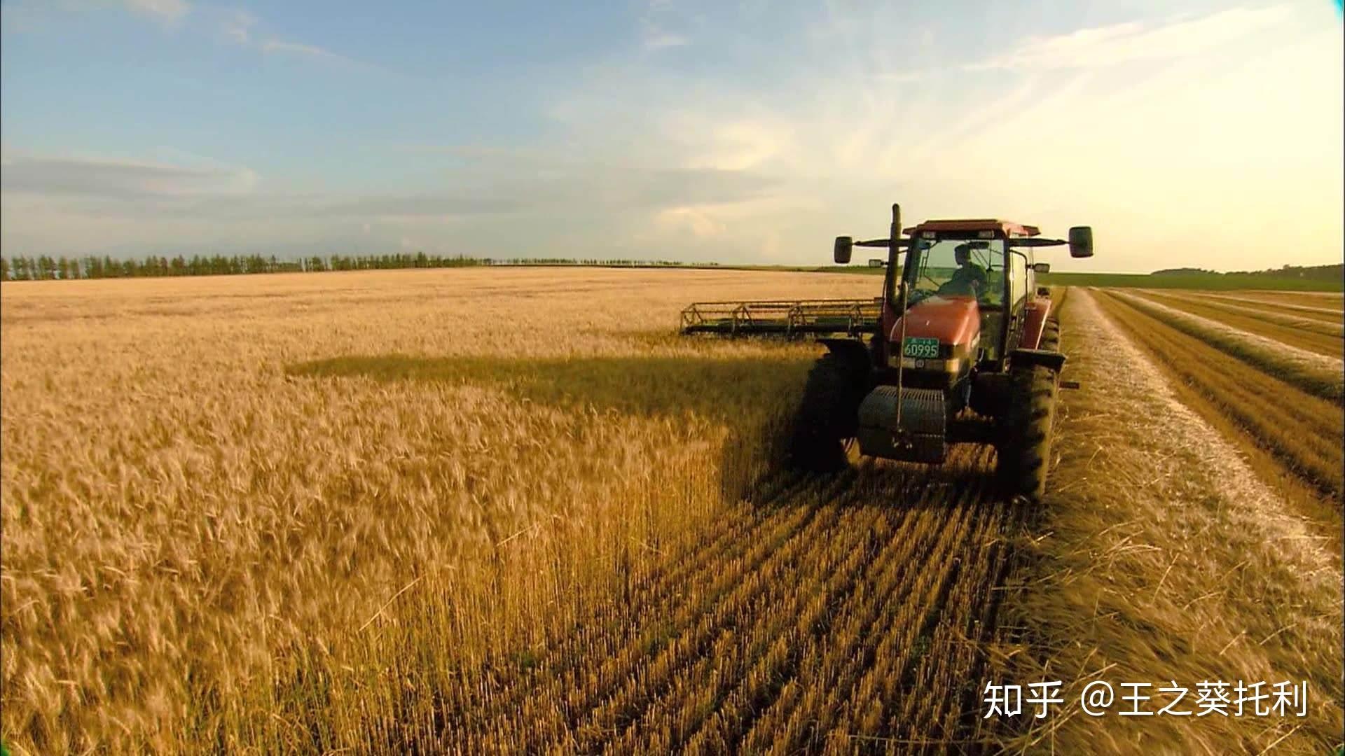 2025年1月6日今日葵二酸最新价格查询