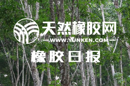2025年1月9日最新天然橡胶价格行情走势查询