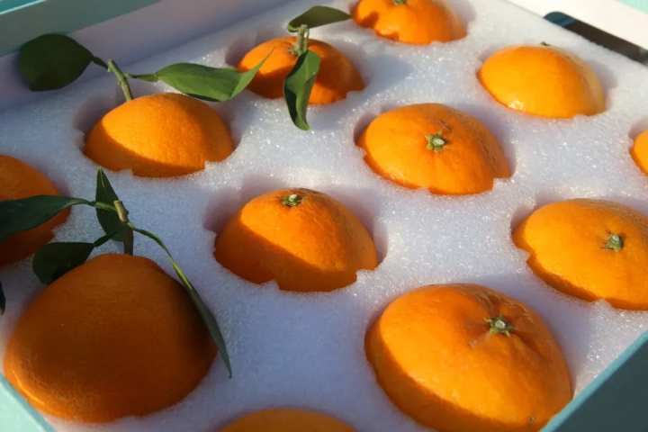 1月16日化机浆企业产量为20.45万吨