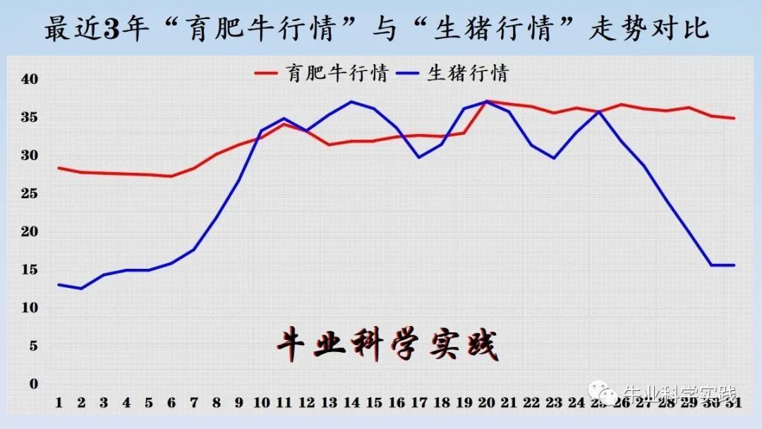 2025年2月21日最新牛磺酸价格行情走势查询