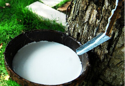 中国橡胶产区将开割 全球或出现石脑油供应缺口