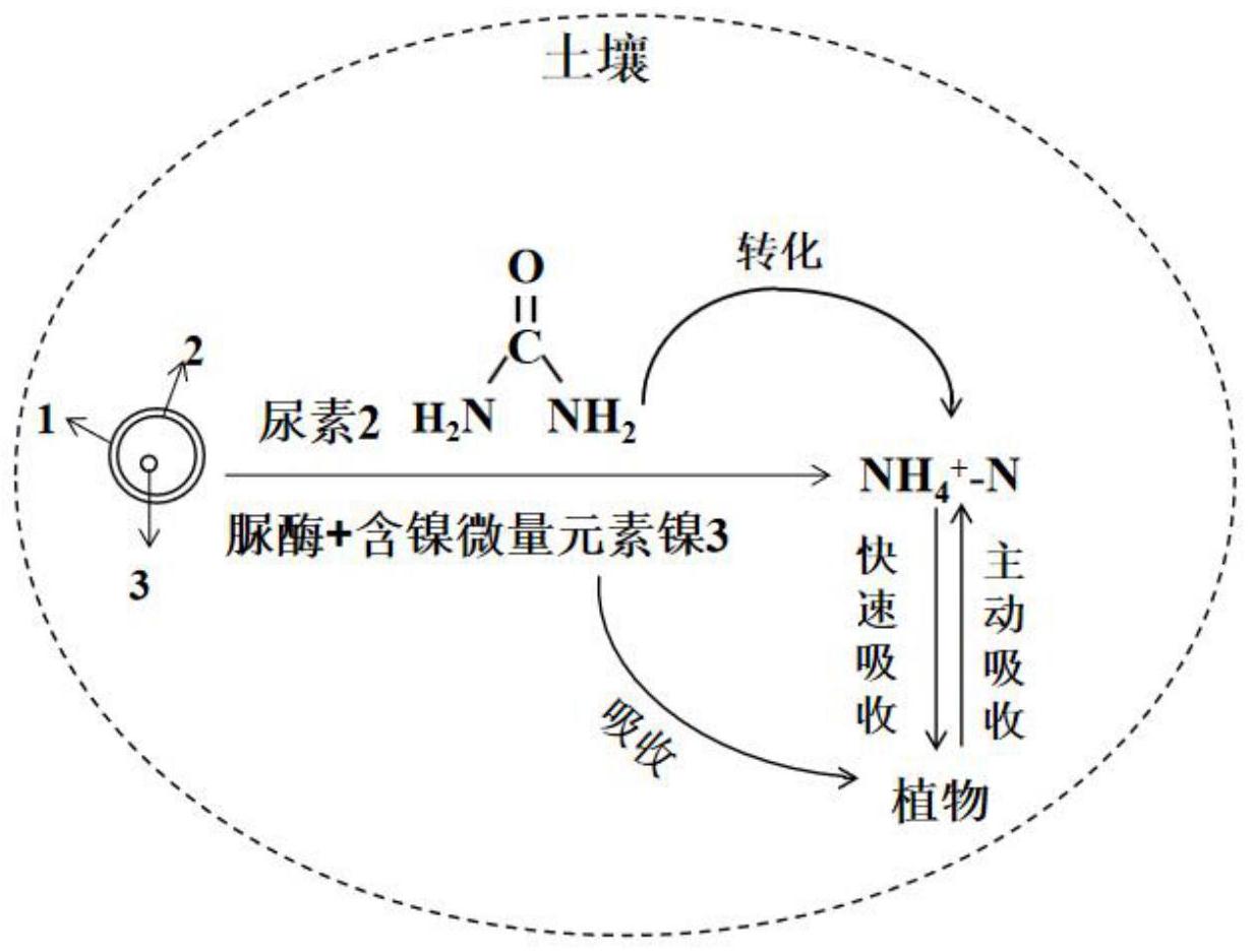 3月13日尿素产能利用率为87.78%