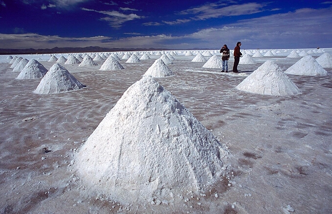 3月21日本色针叶浆进口量为9.4万吨