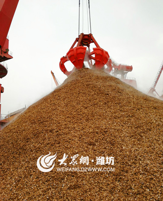 3月21日针叶木片进口量为1.9万吨