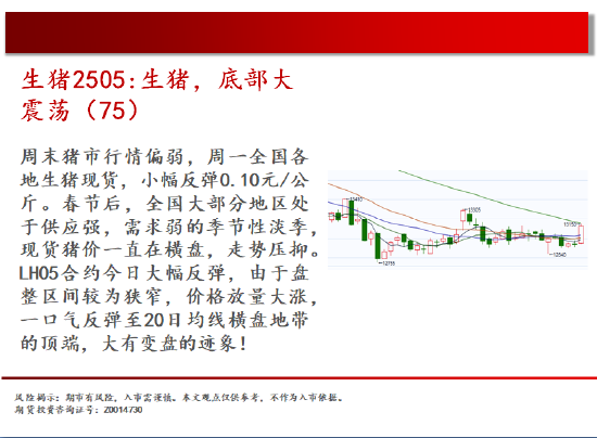 季节性需求回升 玻璃期货价格大幅反弹冲高