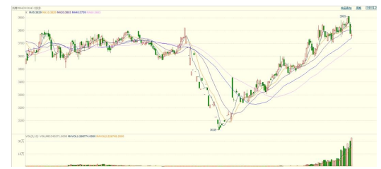 沥青基本面扰动较多 价格短期预计宽幅震荡